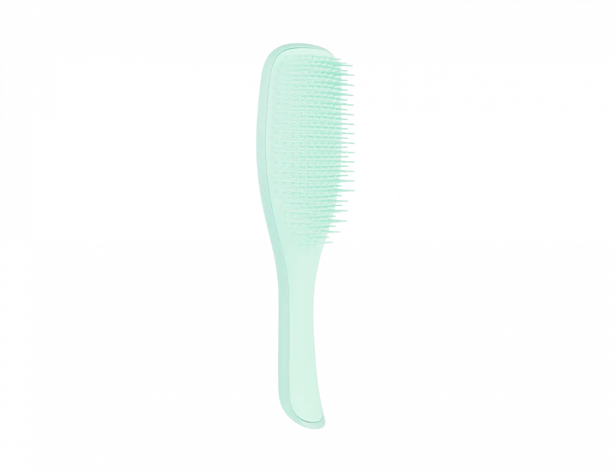 برس تنگل تیزر موهای نازک و شکننده Tangle Teezer Detangler Fine & Fragile Jade Lagoon