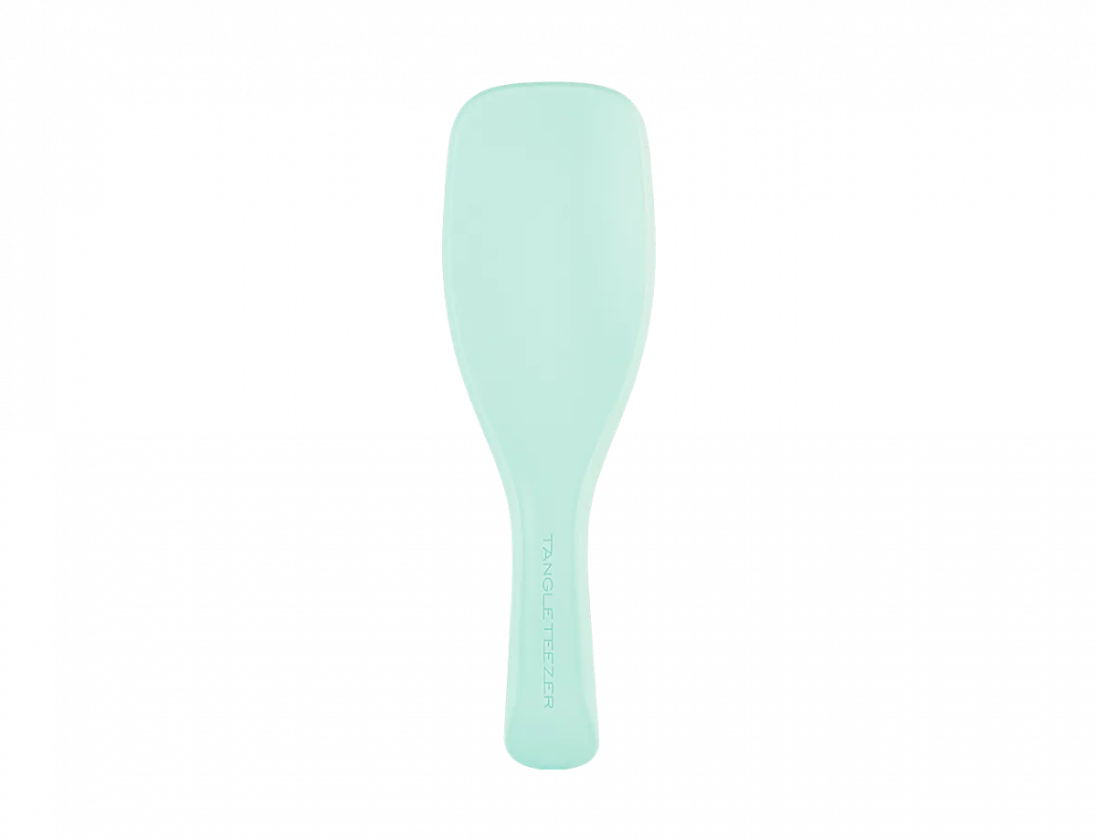برس تنگل تیزر موهای نازک و شکننده Tangle Teezer Detangler Fine & Fragile Jade Lagoon