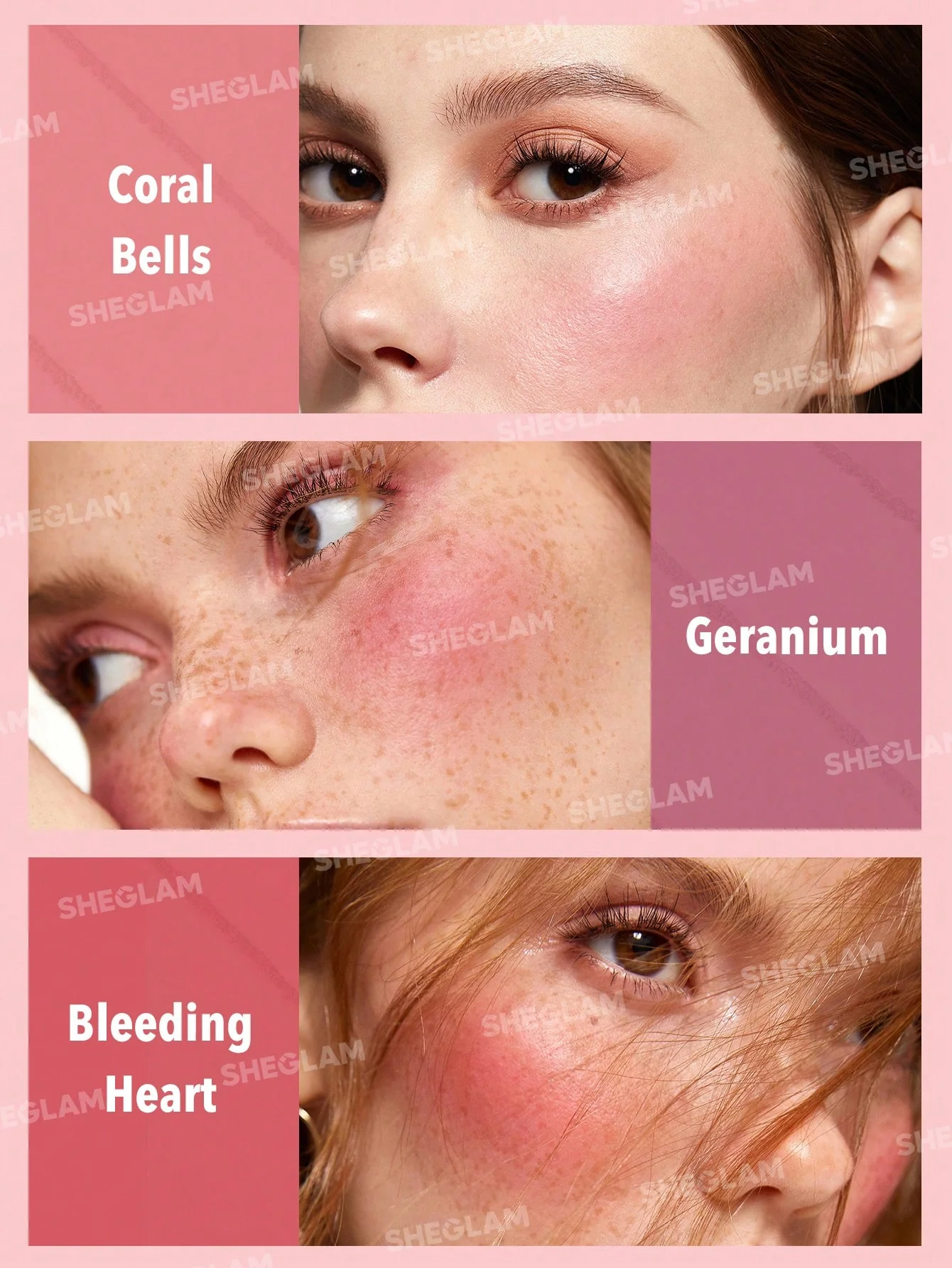 پالت رژگونه 6 رنگ شیگلم مدل floral flush blush رنگ های جذاب با پیگمنت بالا کد 3755 رنگ Blushing Bouquet