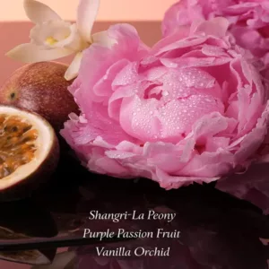 ادکلن بامبو شل ویکتوریا سکرت اصل EAU DE PARFUM