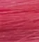 Rose Pink