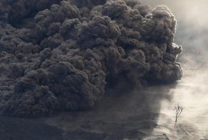 شامپو خاکستر آتشفشانی مائویی | maui volcanic ash shampoo شامپو خاکستر آتشفشانی مائویی | maui volcanic ash shampoo