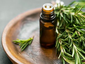 تونر تی تری (درخت چای) بادی شاپ 250میل | body shop tea tree toner